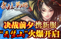 武林英雄